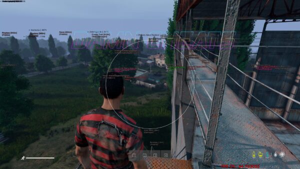 DAYZ-PRO - Image 3